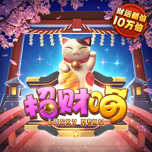 28圈